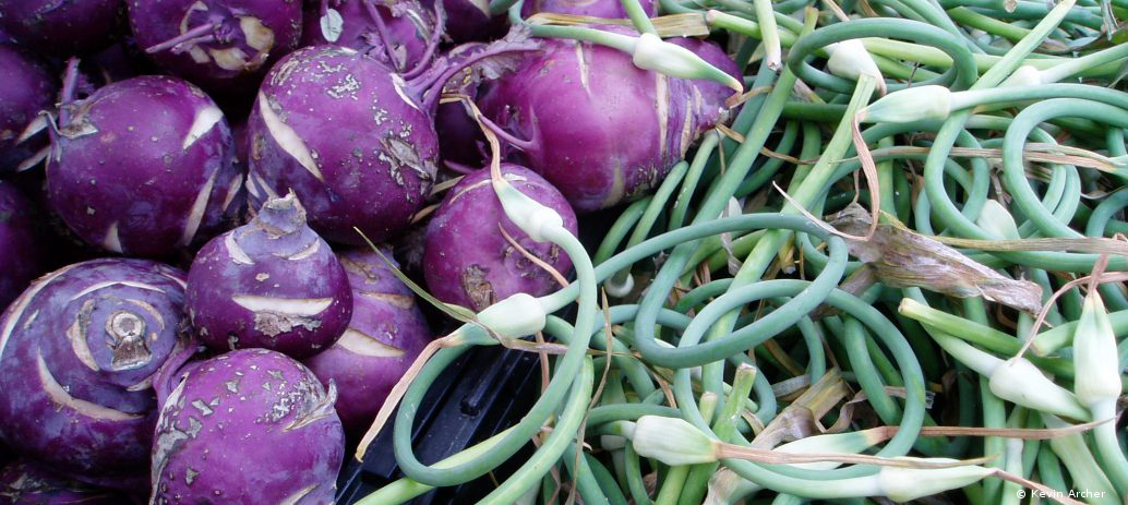 Kohlrabi and Scapes