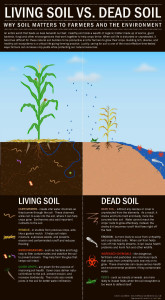 Living Soil vs Dead Soil, National Resources Defense Council. (http://switchboard.nrdc.org/blogs/coconnor/5_signs_of_healthy_soil_in_hon.html)