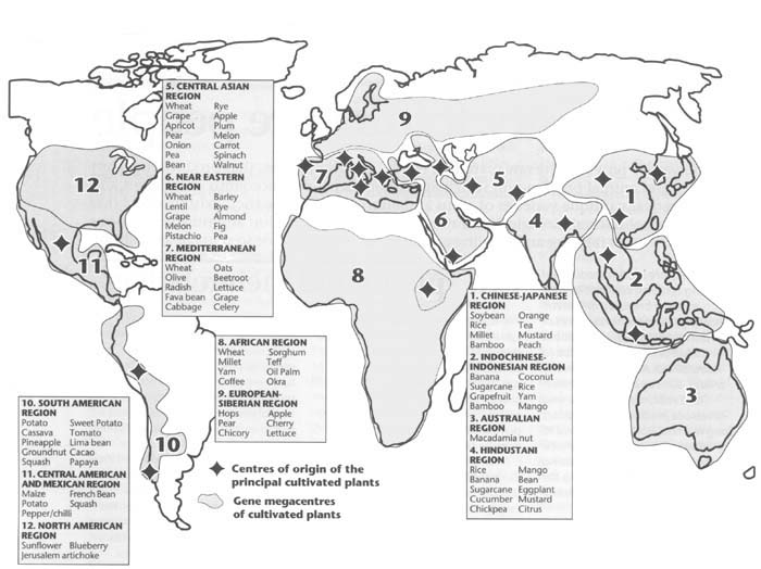 The 12 centers of genetic plant diversity, as determined by Dr. Nikolai Vavilov.