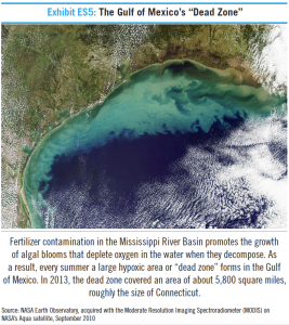 Gulf of Mexico Dead Zone, 2010