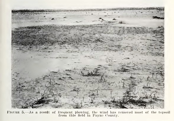 A startling photo from McDonald's study of erosion in Oklahoma, 1938.