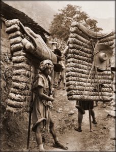 Men laden with tea, Sichuan Sheng, China, 1908. Photo by Ernest H. Wilson.